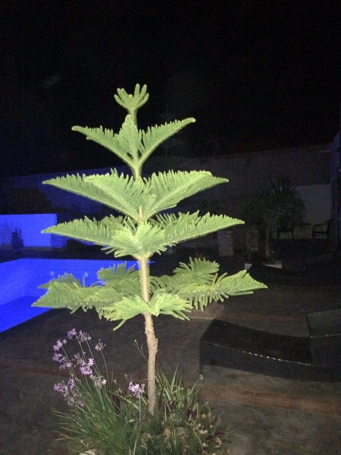Chez Ali Villa Essaouira Eksteriør bilde
