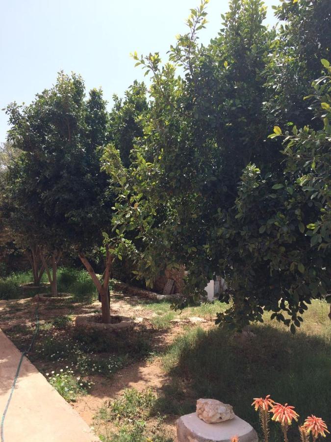 Chez Ali Villa Essaouira Eksteriør bilde
